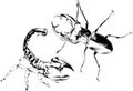 vector drawings sketches different insects bugs Scorpions spiders drawn in ink by hand